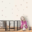 Kutyaketrec és Kennel 