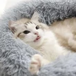 Fluffy szürke színű szőrmés cicaágy és macska fekhely 