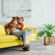 Barb kárpitozott szürke színű kutyalépcső egy sárga kanapé mellett elhelyezve
