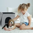 Tetővel ellátott puff alakú kutyafekhely kölyök beagle-lel