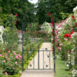 Gyönyörű virágoskertben elhelyezett Blatt rózsalugas nyitható kapuval