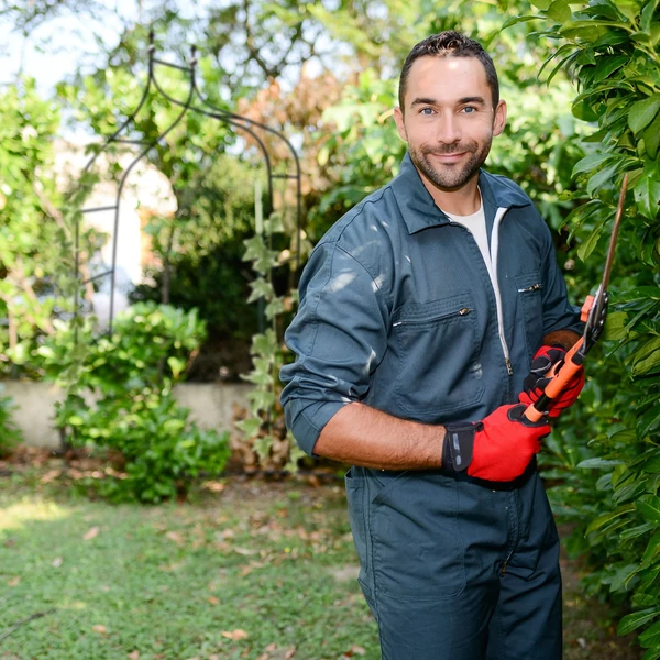 Egy éppen a kertet gondozó kertész a háttérben egy íves csúcsdíszes növényfuttató és rózsafuttató boltívvel