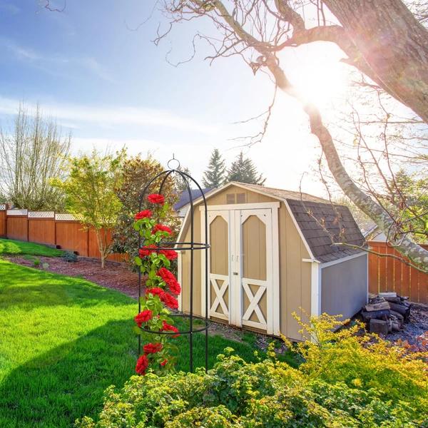 Csinos szépen lefestett kerti tároló mellett elhelyezett piros színű rózsákkal felfuttatott rózsafuttató keret és obeliszk alakú növényfuttató acélból