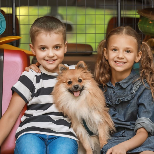 SIBA Kutyarács Autóba