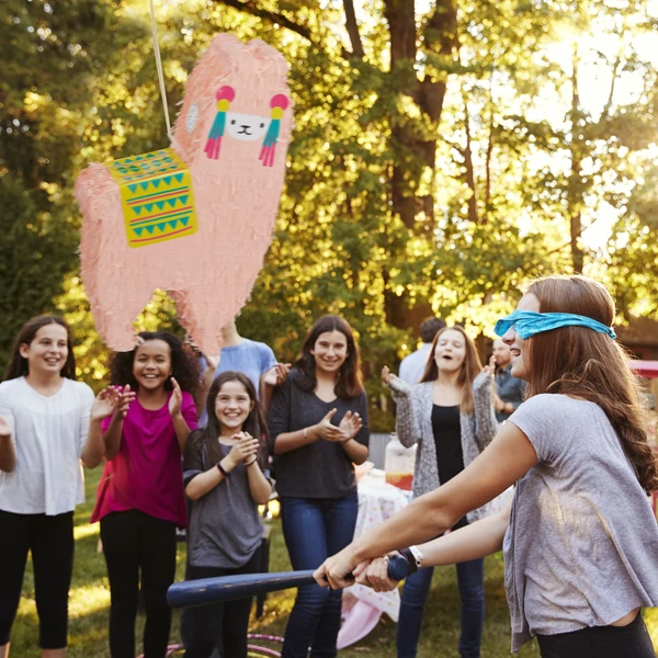 Alpaca Pinata