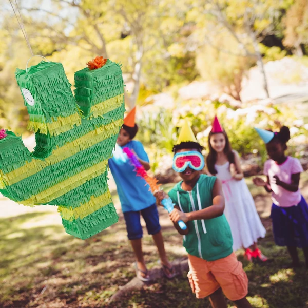 Kaktusz Pinata