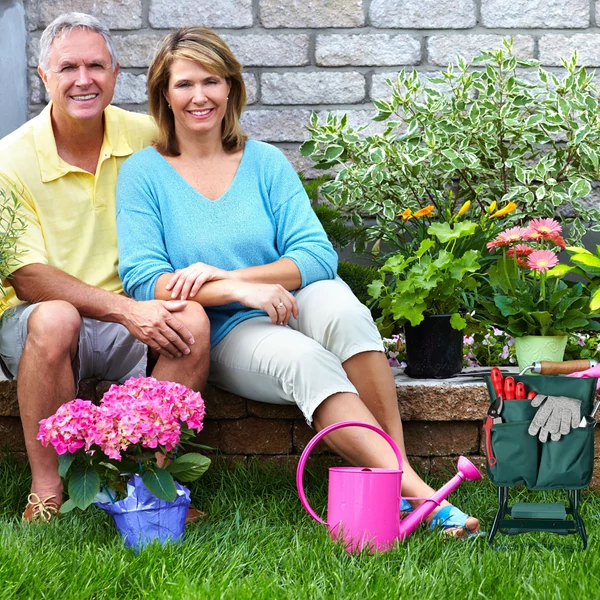 kenyelmes-kerti-terdeloszek-puhafelulet-es-vaz