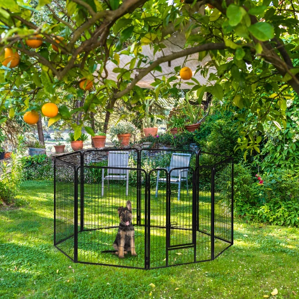 Kutyaketrec és Kennel 