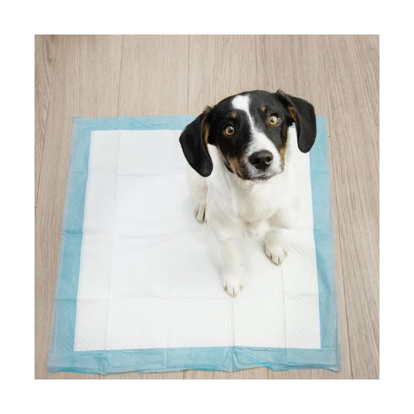 60 x 60 cm Kutyapelenka 50 db + Kutyapiszok Zacskó 30 db 