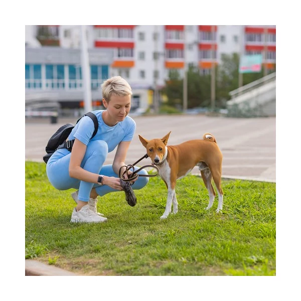 kutyapelenka-lakasba-szobatisztasag-tanitas-es-kenyelem