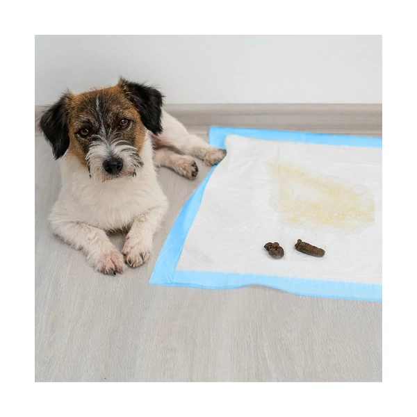 Kistestű kutya kikija és pisije egy 60 x 60 cm méretű nedvességnek ellenálló kutyapelenkán