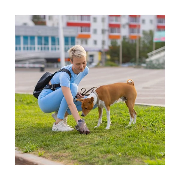 60 x 90 cm Kutyapelenka 50 db + Kutyapiszok Zacskó 30 db 