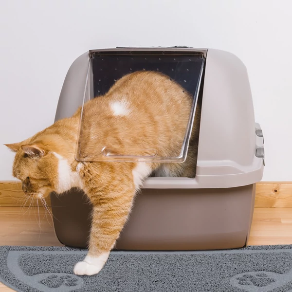 CAT Kilépő Szőnyeg Alomtálcához, 2 Választható Színben