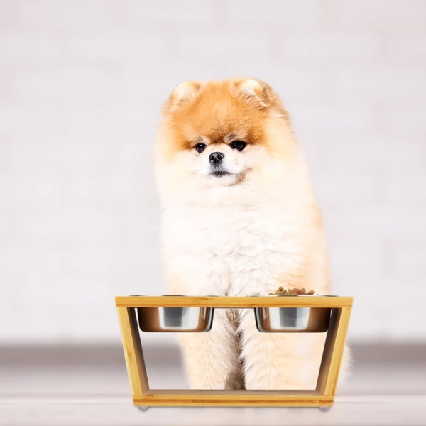 Tito bambusz etető és itatótál szett háttérben egy spiccel