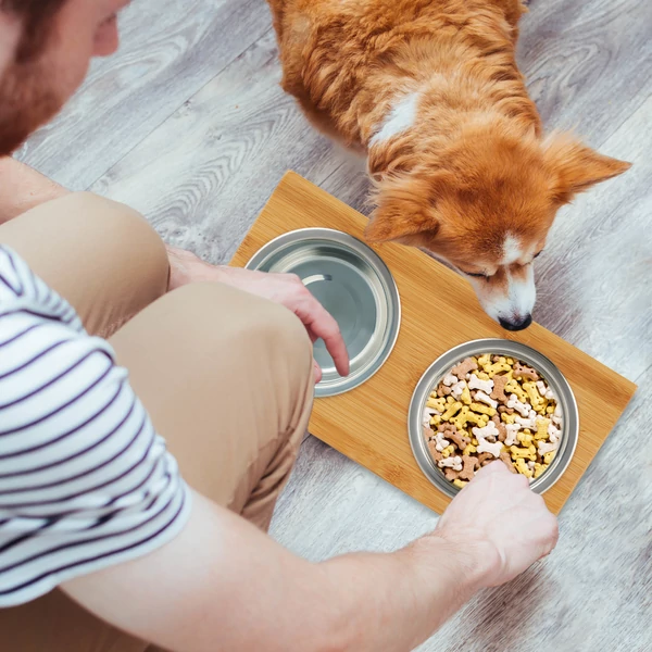 TITO XL Dupla Etetőtál Bambusz Állvánnyal