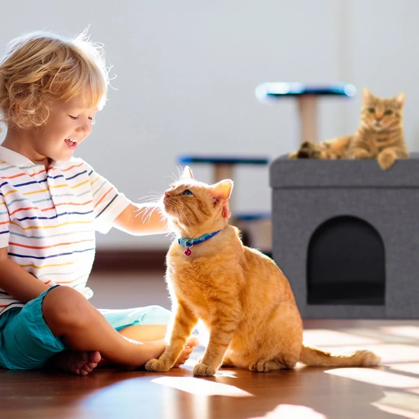 dupla macskaház összecsukható puff kisállatoknak