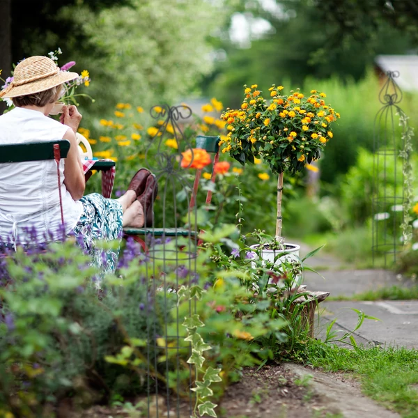 LARIN Rózsafuttató, Növényfuttató Szett