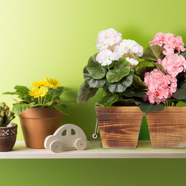 Muskátli és más egyéb balkonnövényekkel teleültetett barna ültetőláda szett