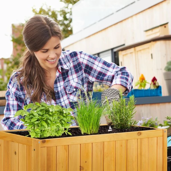 LADISZ Fa Virágtartó